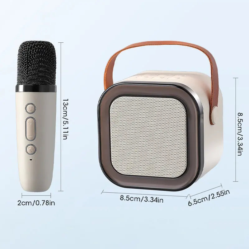 Mini Karaoke Machine with Wireless Microphones Stone's Store